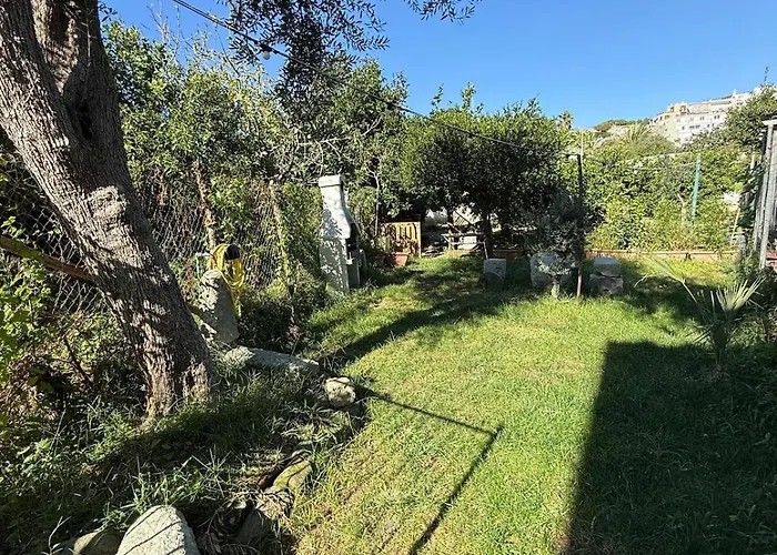 Lemon Garden Forio D'ischia * Isquia